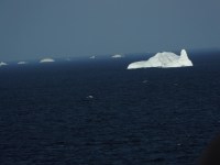 bergs