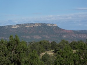 mesa